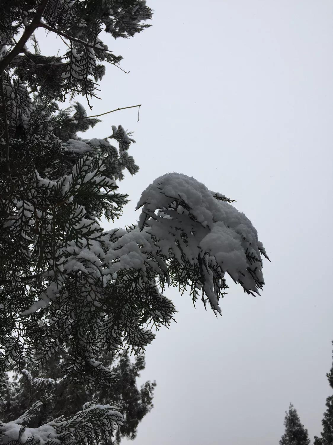 無錫馬山最新規(guī)劃揭秘，規(guī)劃下的生活日常探索