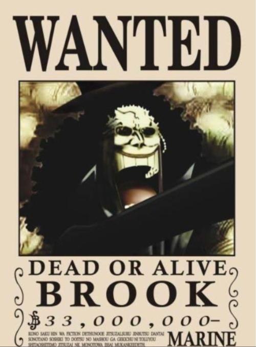 海賊王最新通緝令，任務(wù)完成與技能學(xué)習(xí)指南全攻略