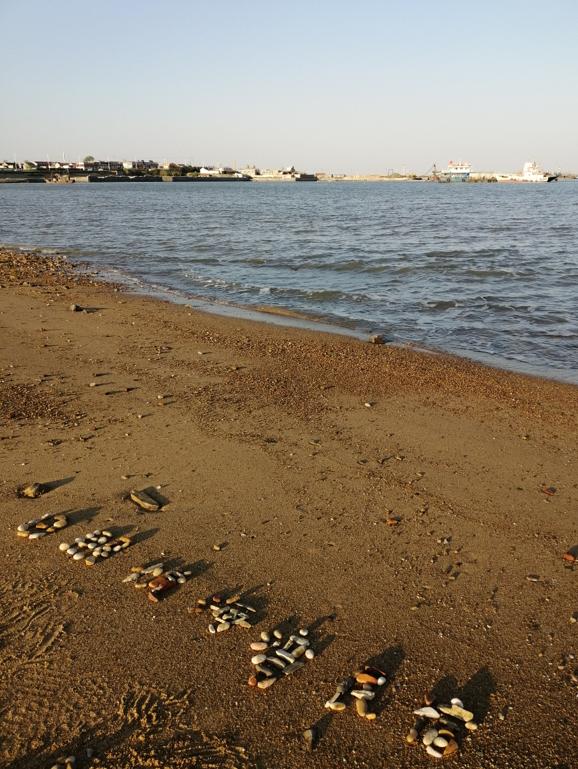 最新高速公路地圖解讀與論述，觀點與視角分享