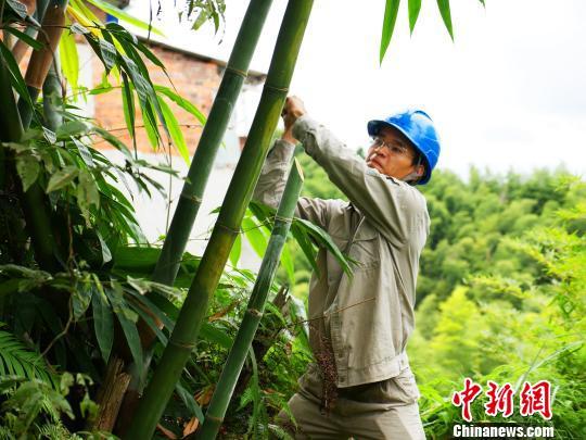 寧德臺風(fēng)最新動態(tài)，科技智能守護安全前沿
