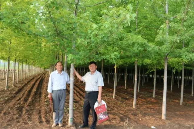 智能苗木管家，科技引領(lǐng)綠色新生活，最新苗木求購消息一網(wǎng)打盡