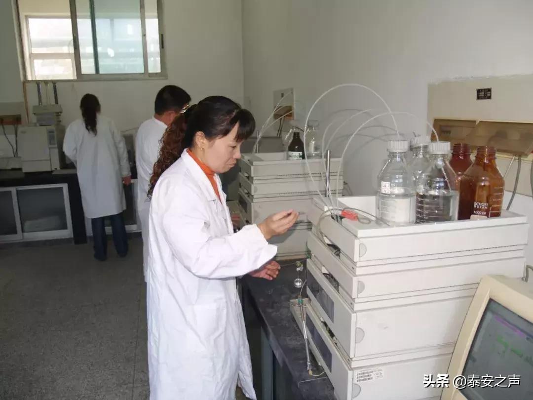 化工最新招聘，友情與夢(mèng)想的啟程之旅