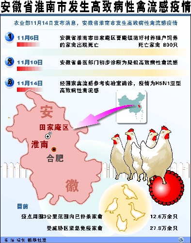 禽流感最新動(dòng)態(tài)與全面應(yīng)對(duì)步驟指南