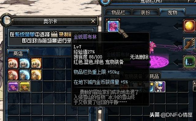 DNF最新寵物重磅上線，科技之巔，極致體驗(yàn)寵物的誕生