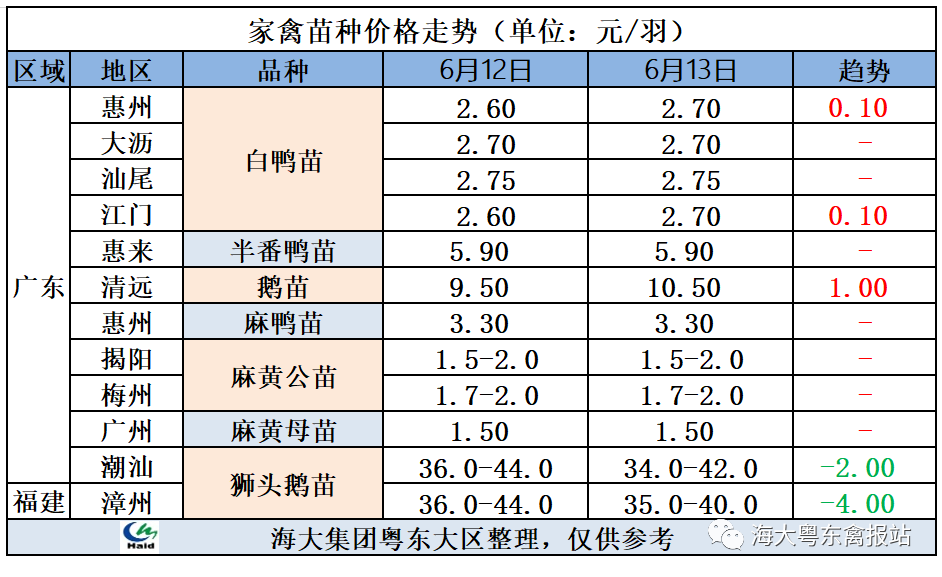 大鵝價(jià)格最新行情動(dòng)態(tài)更新??