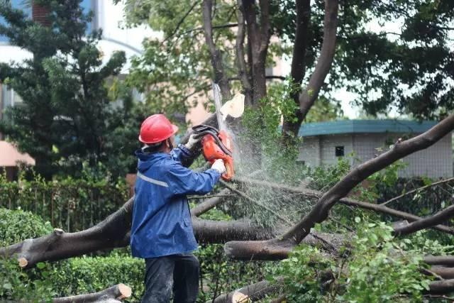 臺(tái)風(fēng)天鴿最新消息及動(dòng)態(tài)追蹤???