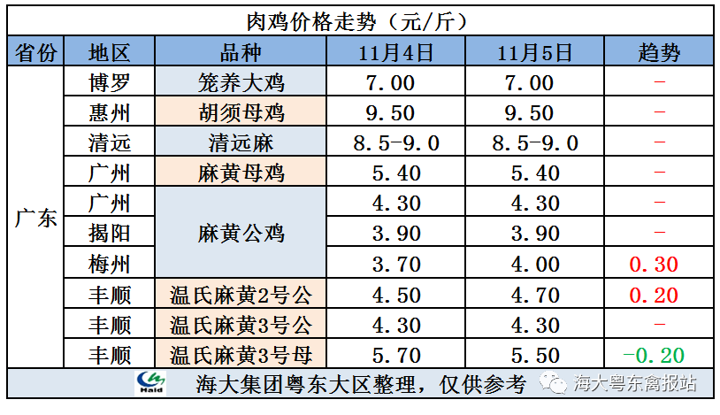 廣東雞價(jià)最新行情，心靈與自然的旅行交響曲