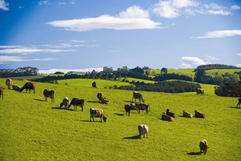 時(shí)代見證，最新牧場(chǎng)及其背景與重大事件概覽