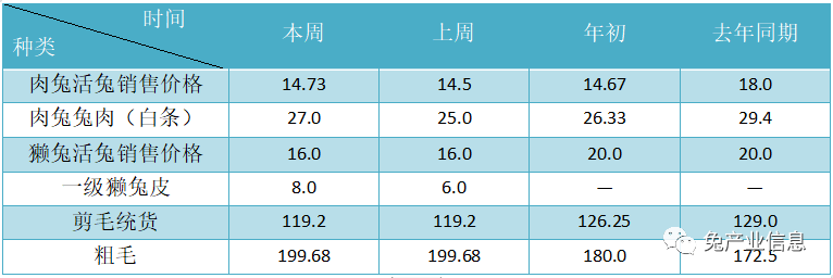 獺兔價格最新行情揭秘，溫情故事在兔子洞展開
