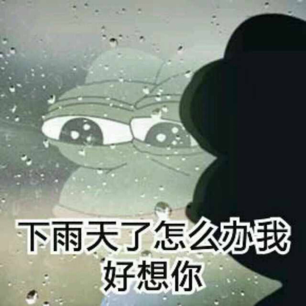 微信下雨表情包，網絡文化現(xiàn)象的深度探析