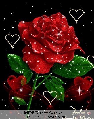 科技與藝術(shù)完美融合，最新玫瑰花閃圖欣賞