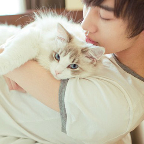 溫馨抱貓日常，最新流行情頭，感受人與貓的深情瞬間