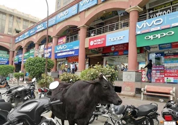 部落沖突OPPO最新版深度解析，優(yōu)劣與我的觀點(diǎn)分享