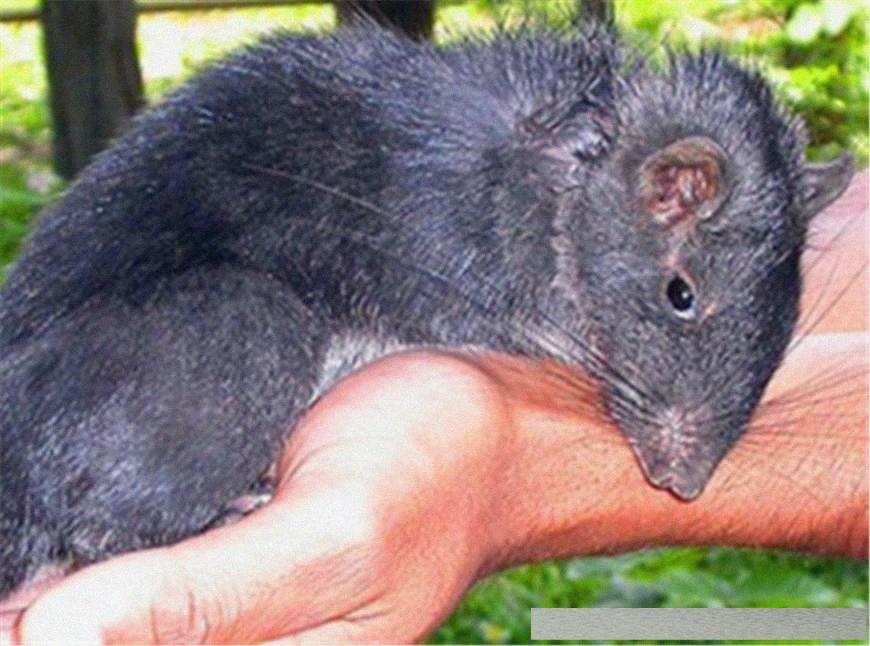 穿越火線4月探索自然美景活動，尋找內心的平和與寧靜之旅