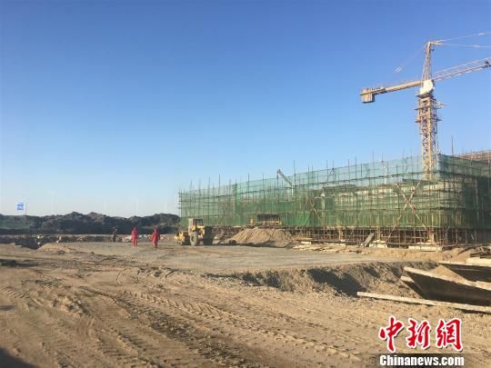 唐山豐南港最新動(dòng)態(tài)，港口邊的溫情故事