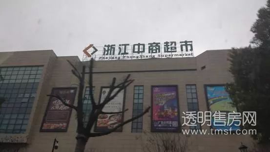 蕭山義橋最新招聘大揭秘，職位信息全面更新????