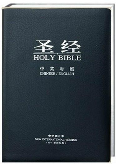 圣經(jīng)最新版本，科技與信仰的交融之作