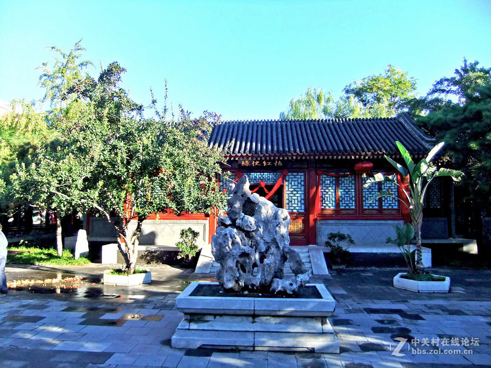 最新怡春院手機(jī)在線，日常趣事與情感紐帶連接的世界