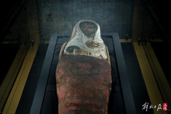 科技前沿，布醫(yī)無名的新產(chǎn)品革新與體驗(yàn)革新最新章節(jié)