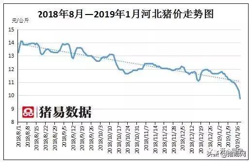 張家口最新豬價(jià)動(dòng)態(tài)分析與趨勢預(yù)測