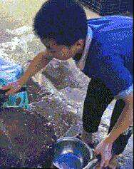 劍客無敵逆天邪神最新章節(jié)探秘，逆天劍意之征途