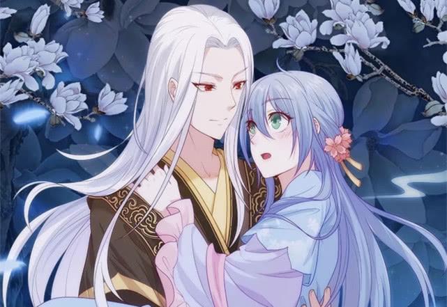 侯門寵妻，古代豪門婚姻生活的深度解讀最新章節(jié)解析