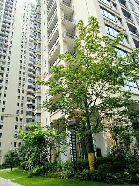 力沃幸福里最新動態(tài)，學習變化，成就自信與幸福之源