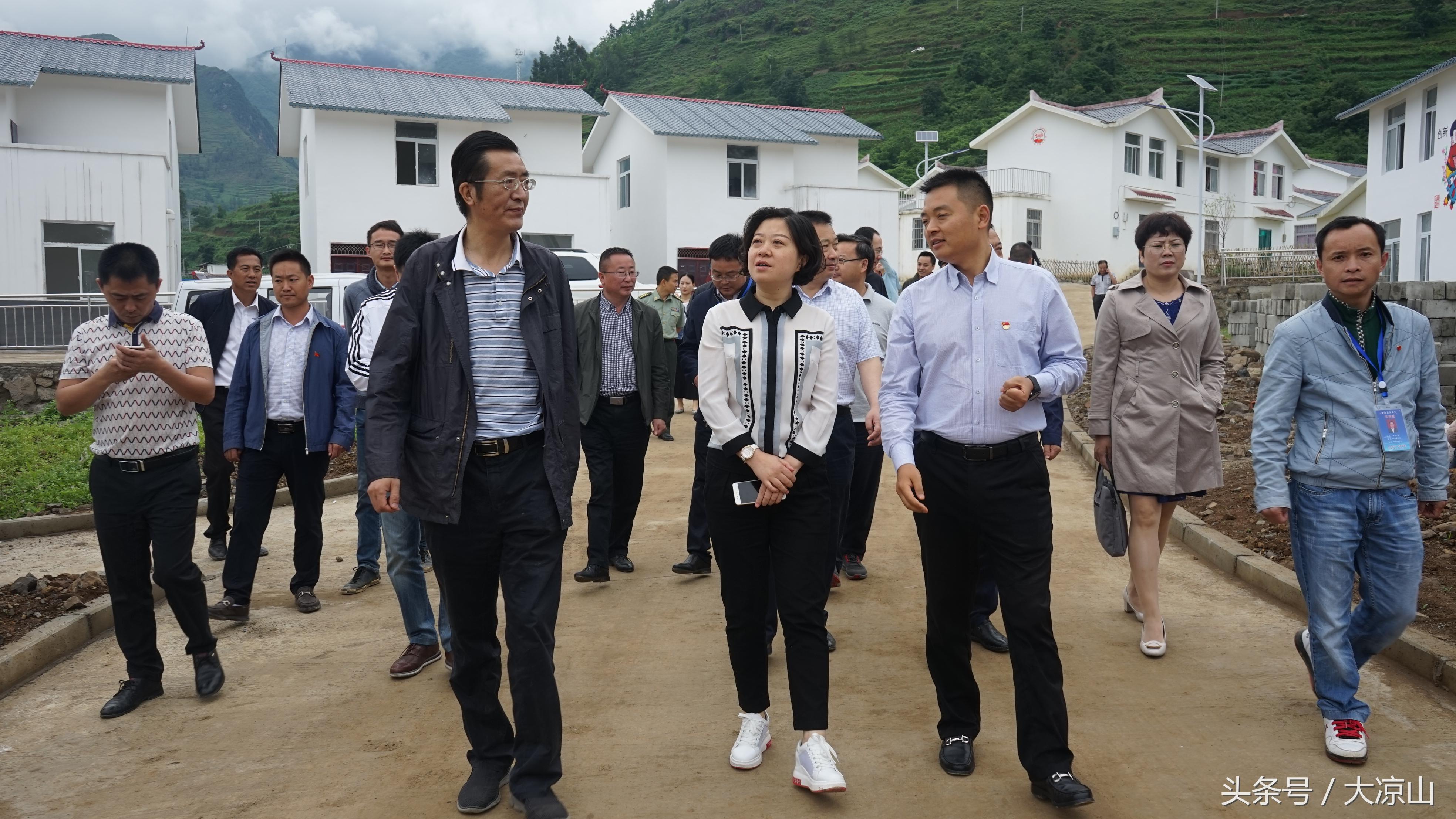 綿竹最新人才招聘信息概覽與觀點論述