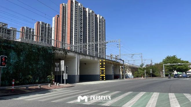 茂名最新動態(tài)，蓬勃發(fā)展的城市關(guān)注焦點(diǎn)