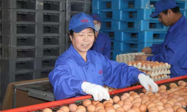 太仆寺旗寶昌最新房價，家的溫暖與房地產(chǎn)市場動態(tài)