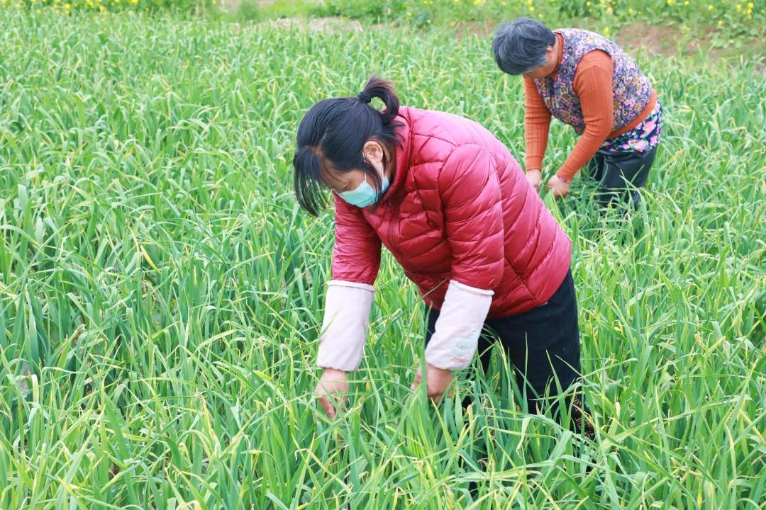 徐州豐縣最新招工信息一覽，獲取指南與招聘信息匯總