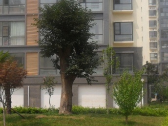 臨沭租房最新信息大全，便捷生活從此開始