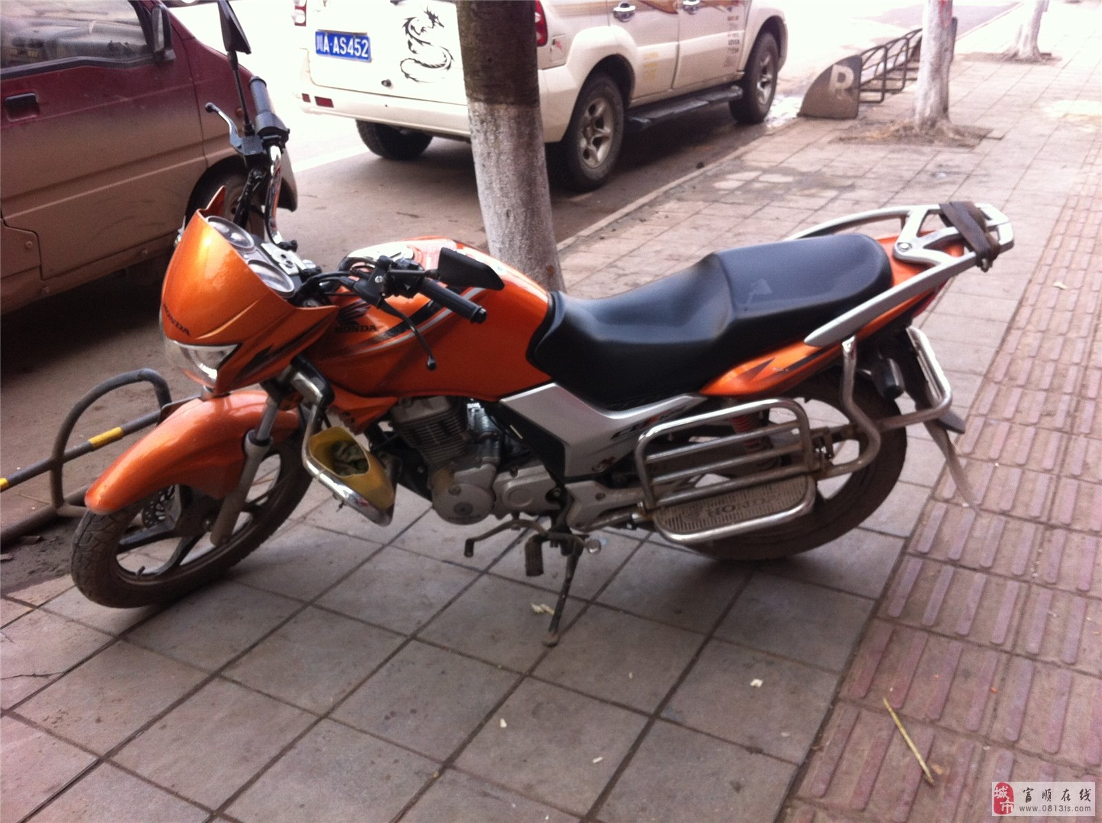 本田小戰(zhàn)鷹最新款，全面觀點論述與深度解析