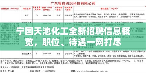 寧國(guó)白班最新招聘信息，職業(yè)繁榮與機(jī)遇在時(shí)代背景下的展現(xiàn)
