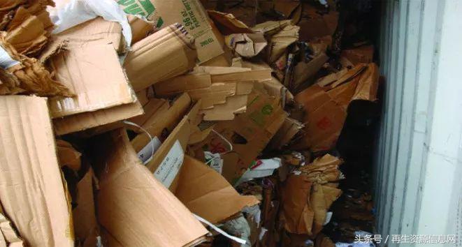 進口廢紙最新政策下的隱秘寶藏探索，特色小店探秘之旅