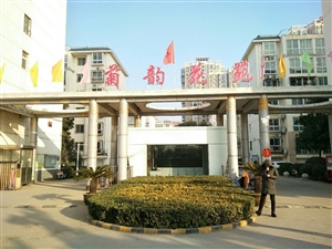 最新社旗獨(dú)家小院出售，市場趨勢、正反觀點(diǎn)分析與個人立場探討