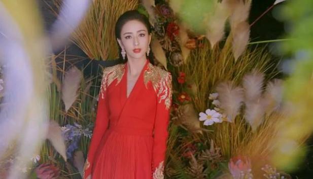 佟麗婭最新新聞，獲取與解讀明星資訊的步驟指南