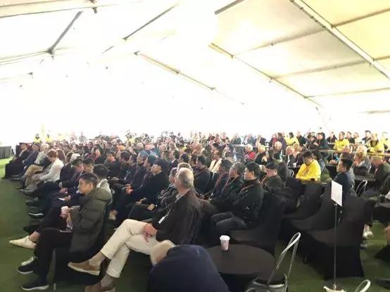 最新鋯英砂價格揭秘，小巷寶藏砂店探秘之旅