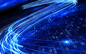 山東德州毛豬價格動態(tài)，機(jī)遇與自我超越的征程