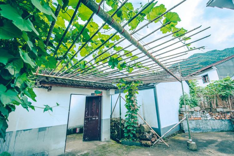 神級茶人最新章節(jié)，探尋自然美景之旅，追尋內(nèi)心平靜之道