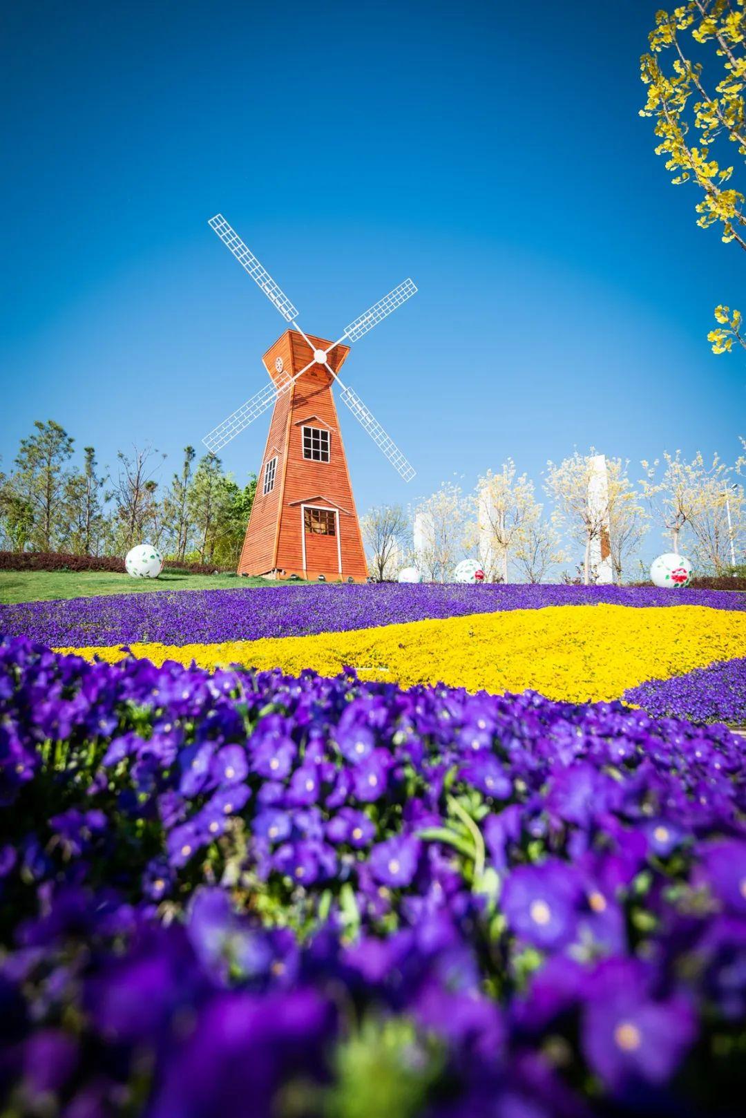 滎陽(yáng)市最新房?jī)r(jià)動(dòng)態(tài)，時(shí)代印記與城市的脈絡(luò)