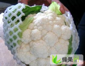 江蘇花菜價(jià)格最新動態(tài)更新