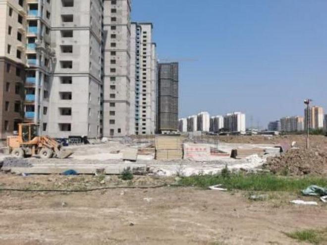 荊州農(nóng)高區(qū)最新動(dòng)態(tài)，引領(lǐng)農(nóng)業(yè)現(xiàn)代化新篇章