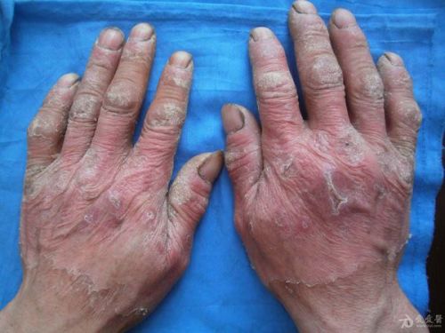 辦公設(shè)備租賃服務(wù) 第8頁(yè)