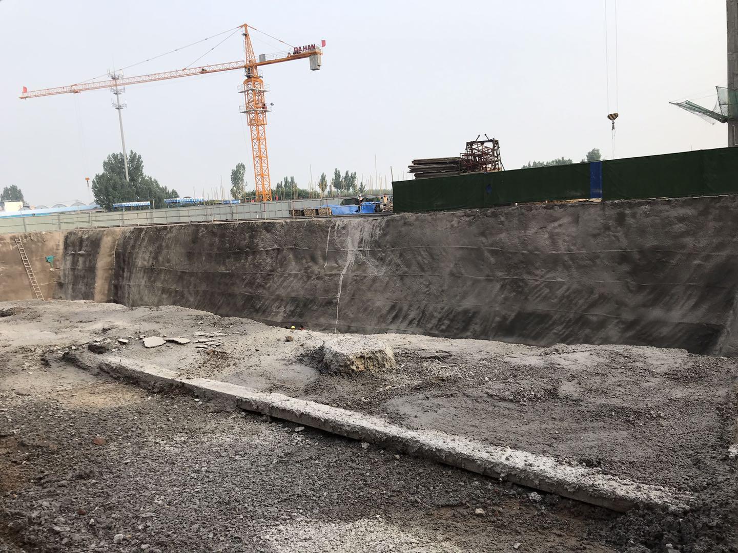 鵬洲麗城最新動態(tài)揭秘，小巷中的隱藏瑰寶