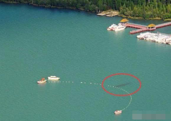 喀納斯湖水怪真相揭秘，探尋神秘之旅的心靈平靜之路