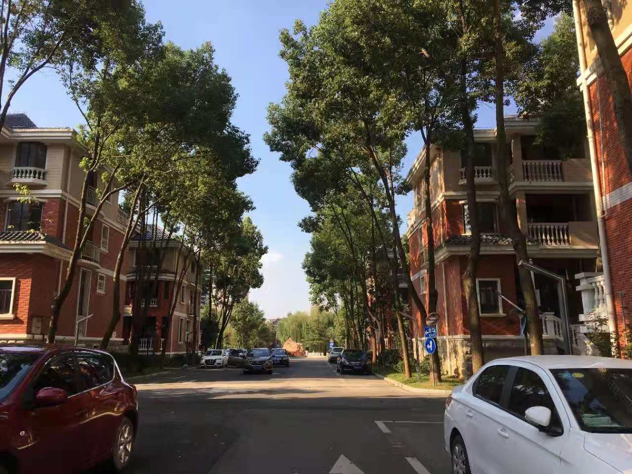 武漢卓峰地產(chǎn)最新動(dòng)態(tài)揭秘，最新進(jìn)展與動(dòng)態(tài)更新