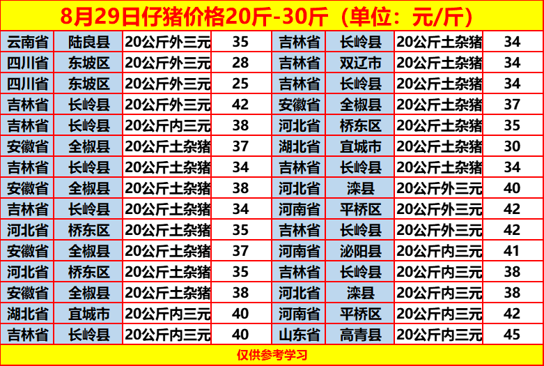 土雜豬最新價格動態(tài)，一場尋找內(nèi)心平靜的旅程