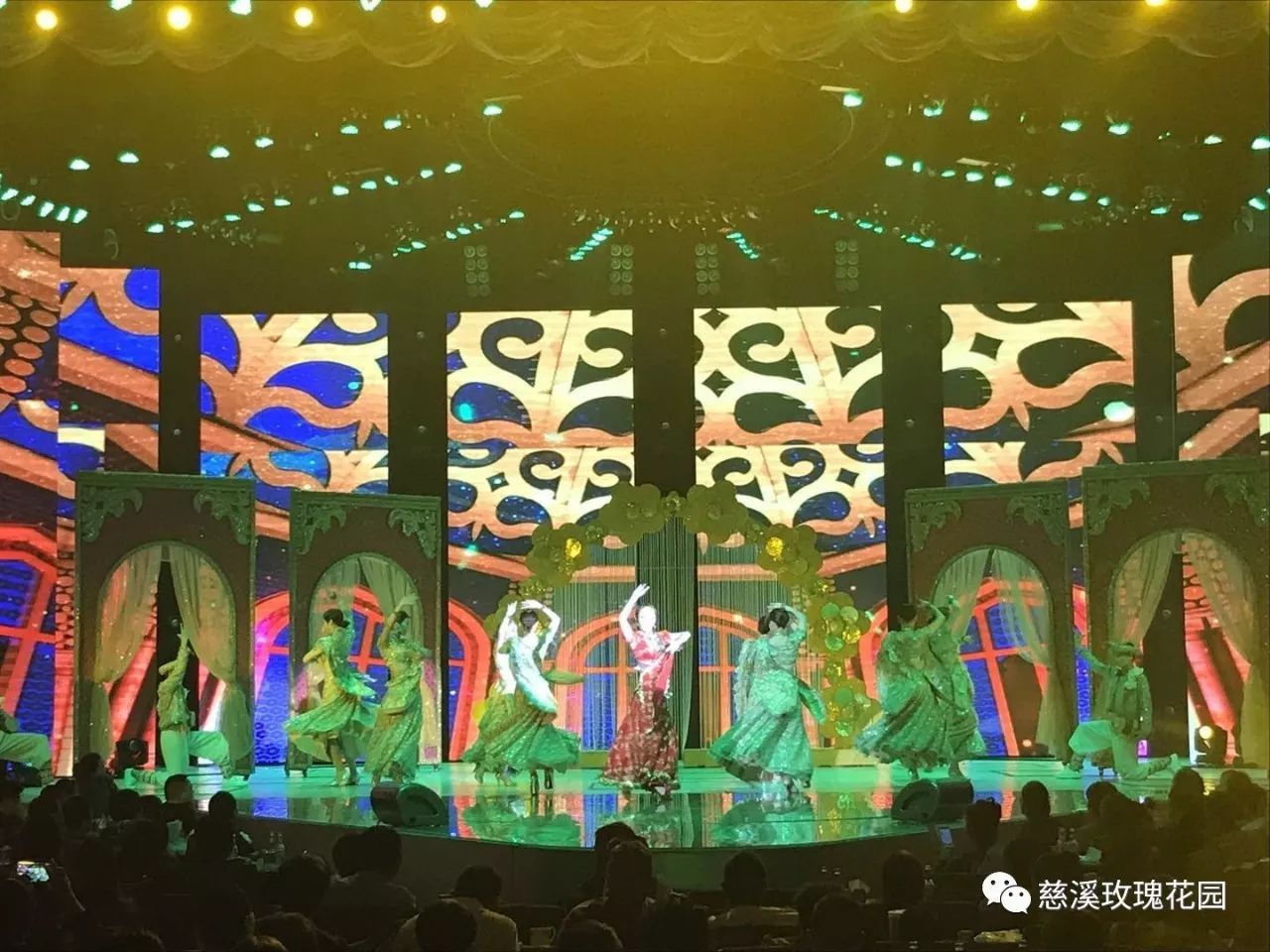 慈溪玫瑰花園最新視頻，綻放的玫瑰盛世美景