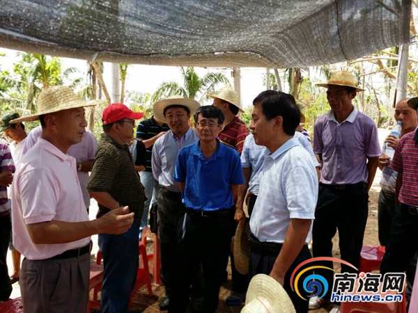 海南朱華友的最新動(dòng)態(tài)，成就概覽與未來展望